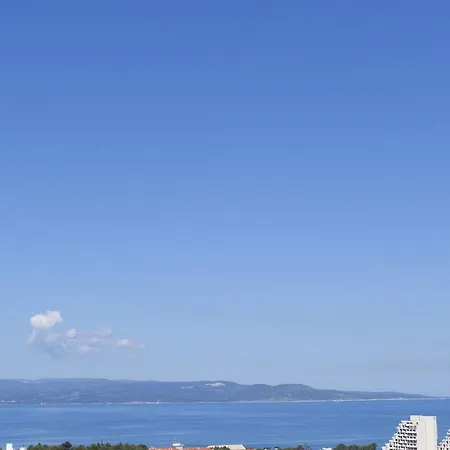 Palma 마카르스카